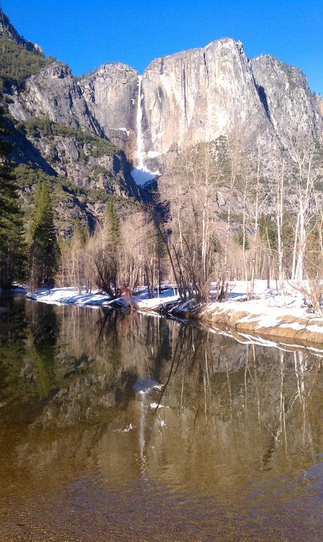 Nature'S Inn Bed And Breakfast Ahwahnee Bagian luar foto